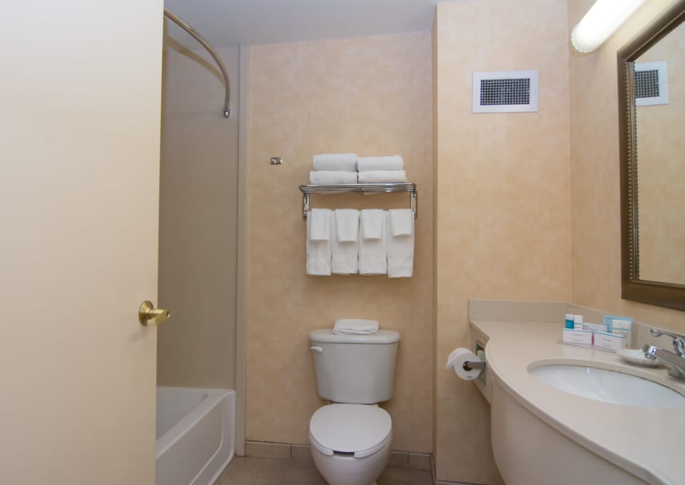 Combined shower/tub, free toiletries, hair dryer, towels