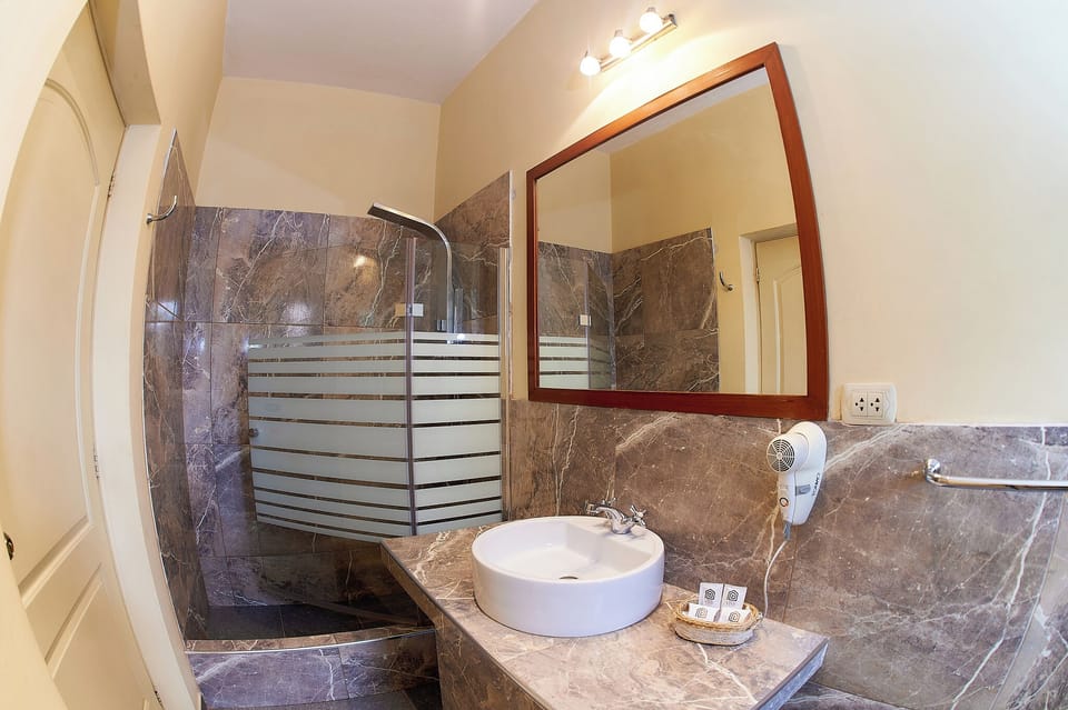 Standard Single Room, 1 Large Twin Bed | Bathroom | Shower, hydromassage showerhead, hair dryer, towels