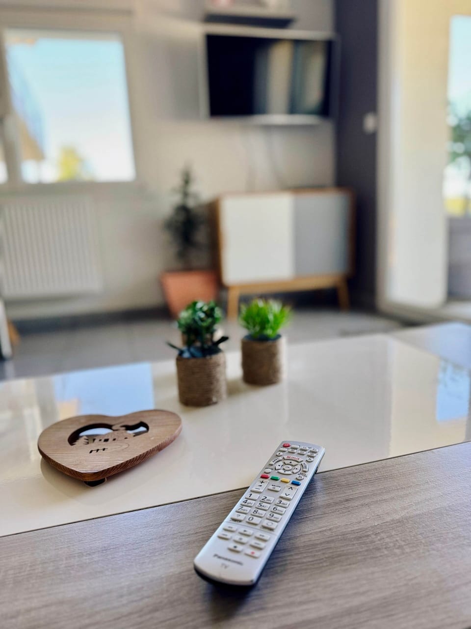 Television