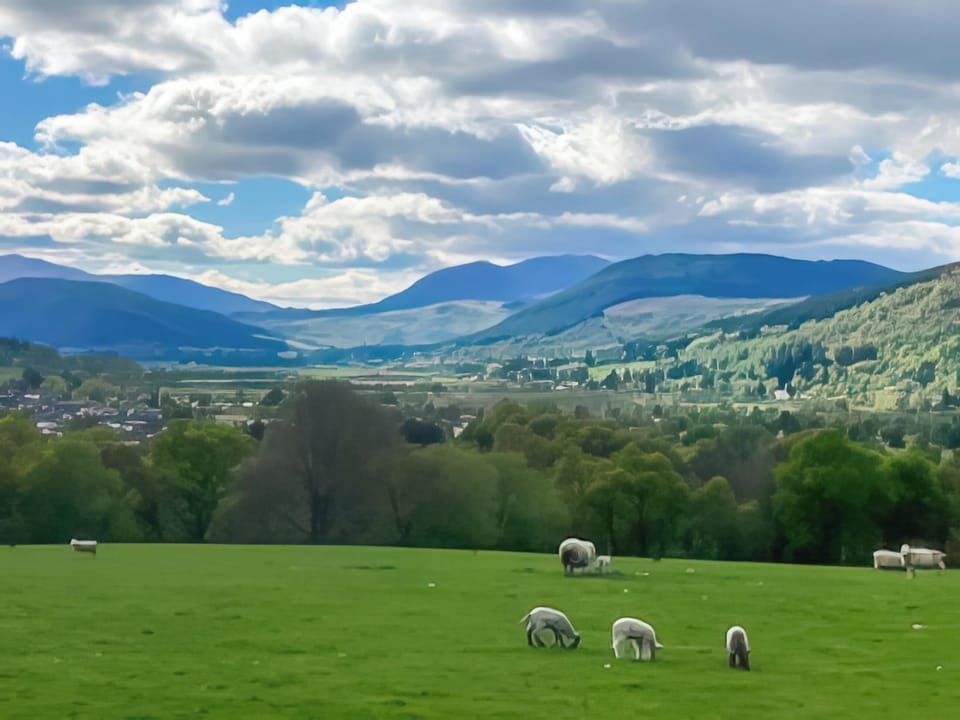 Surrounding area | Tay Lodge, Aberfeldy