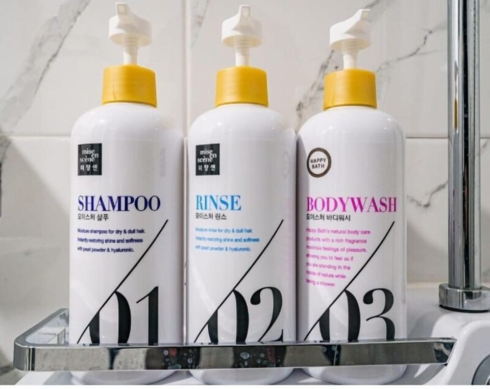 Hair dryer, towels, soap, shampoo