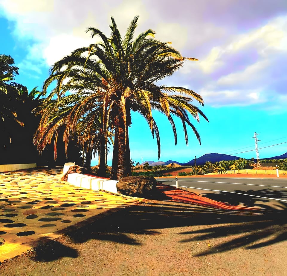 Miscellaneous