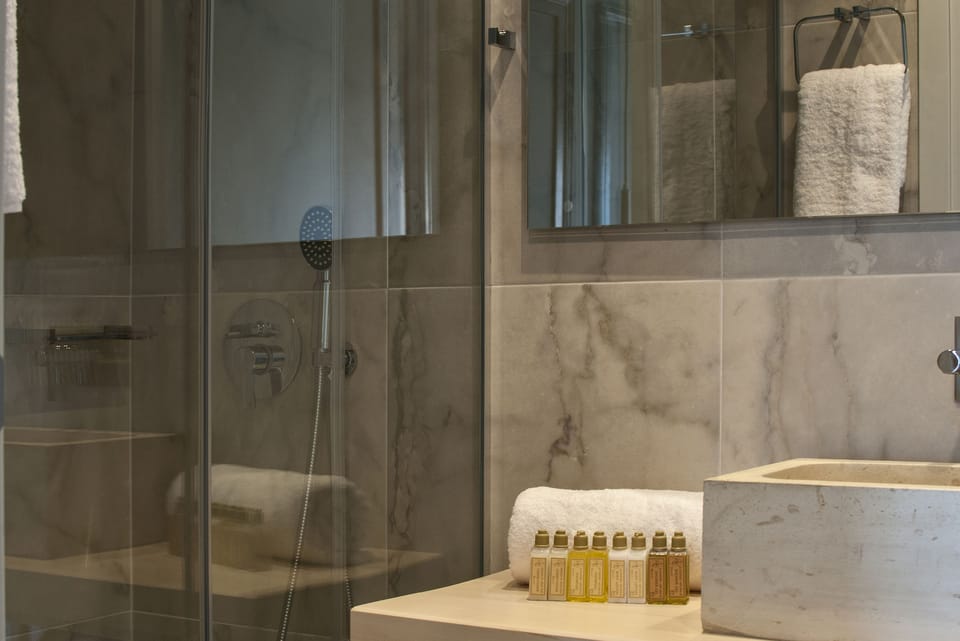Classic Room | Bathroom | Shower, free toiletries, hair dryer, bathrobes