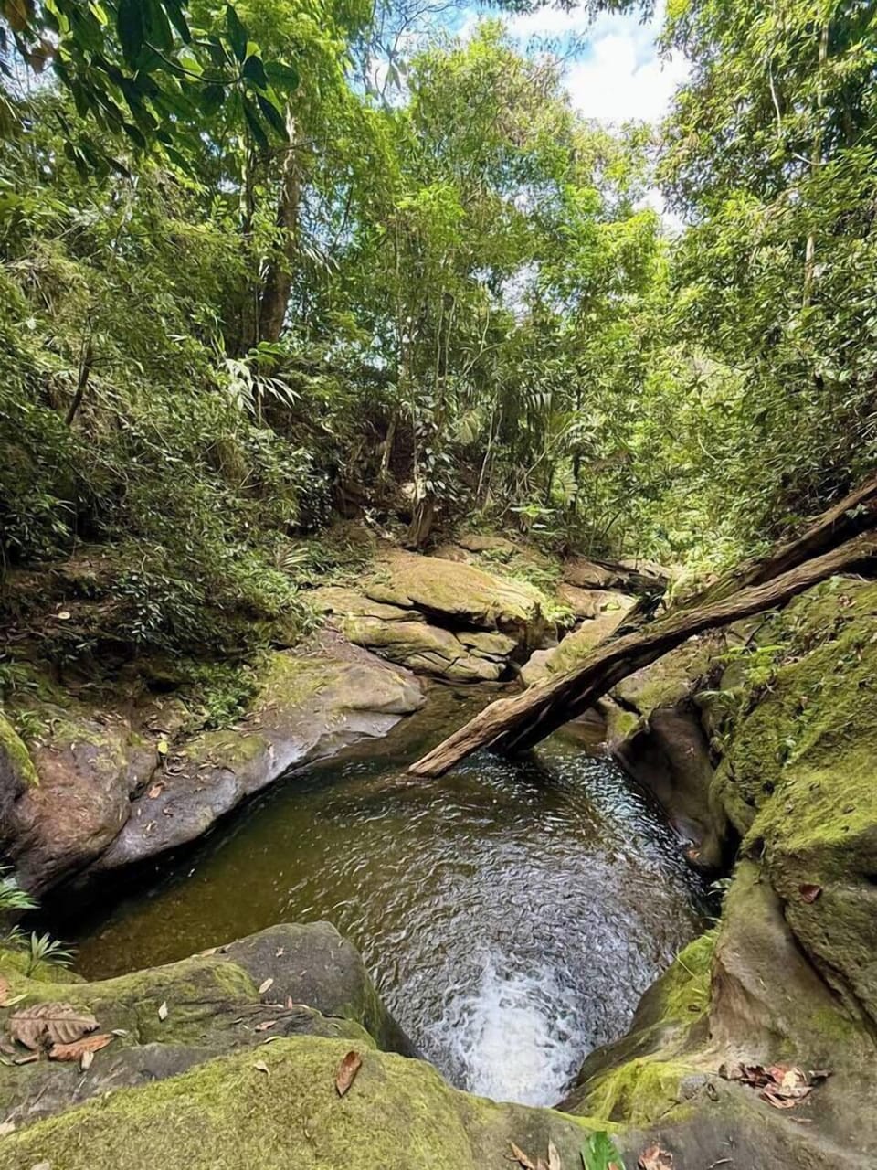 We offer waterfall tours. $120.00 per group. Includes 2 waterfalls, drinks, fresh fruits and coffee. (5)