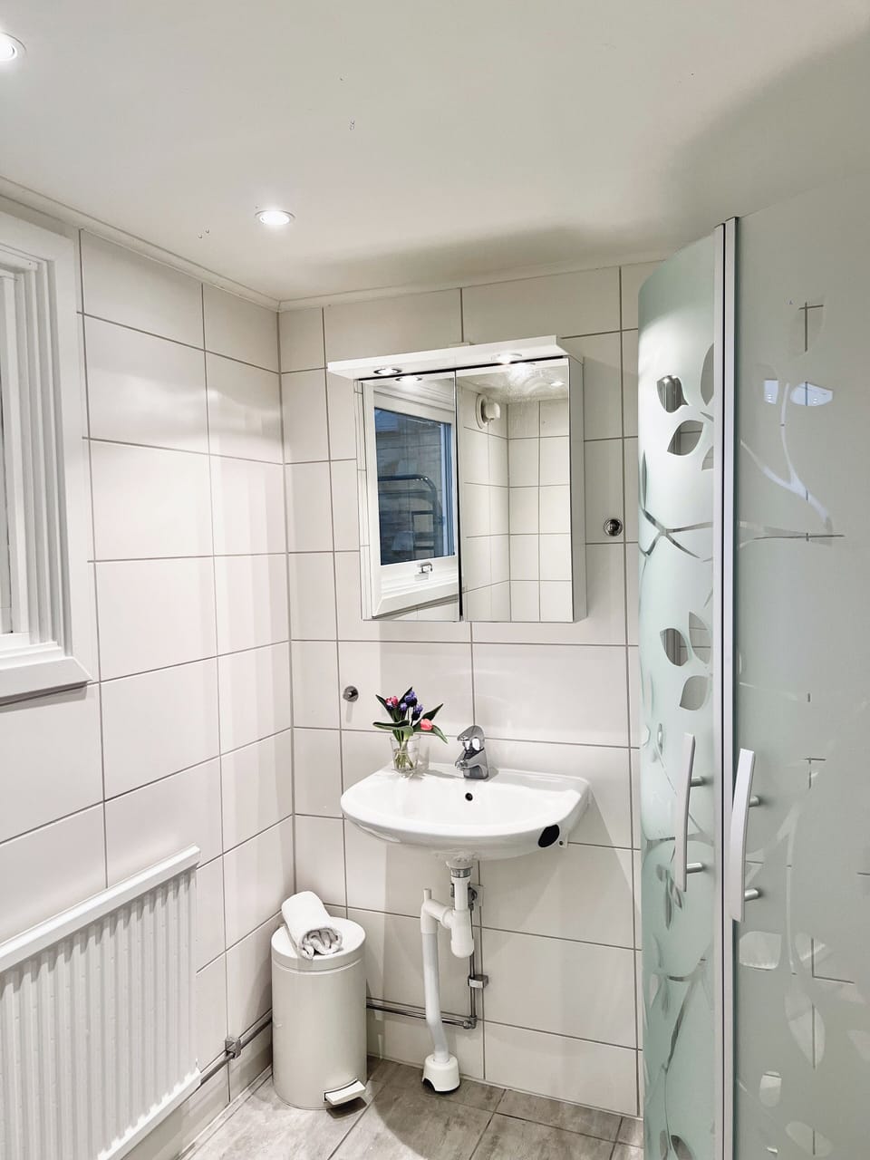 Shower, towels, soap, shampoo