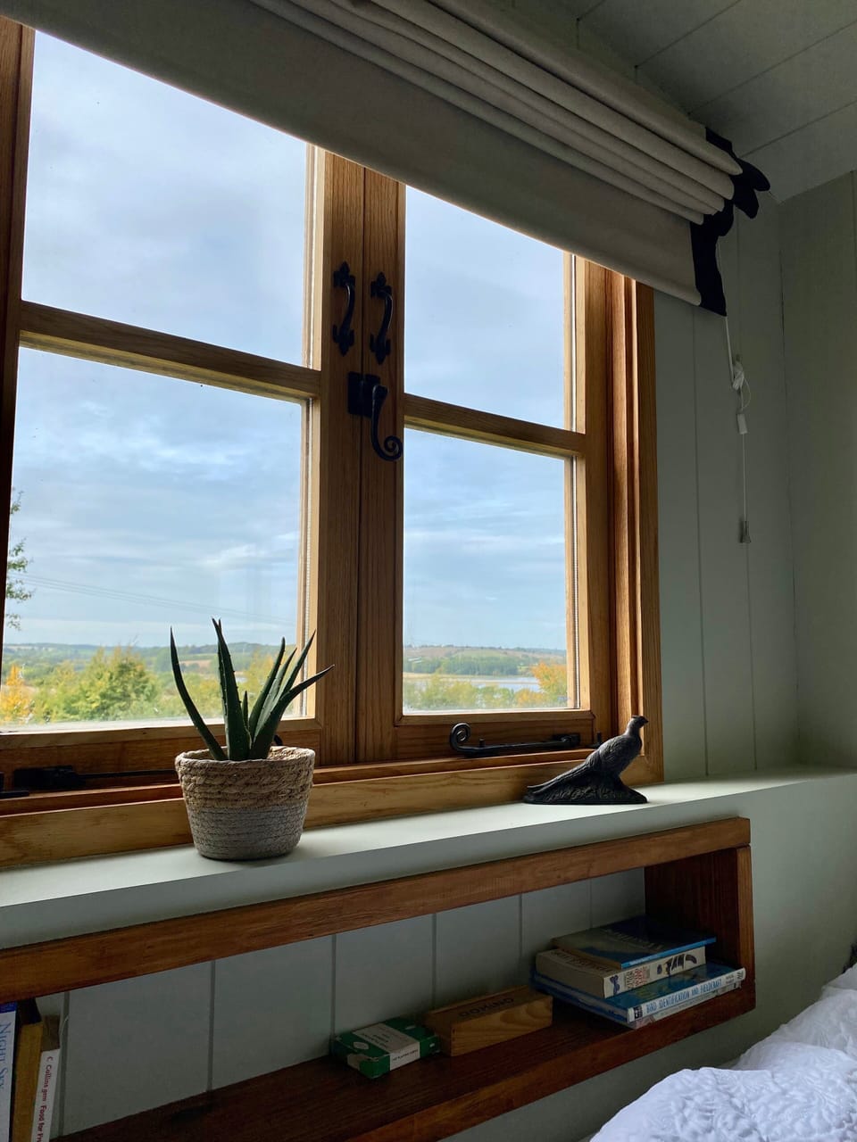 Deluxe Cabin, Lake View | 1 bedroom