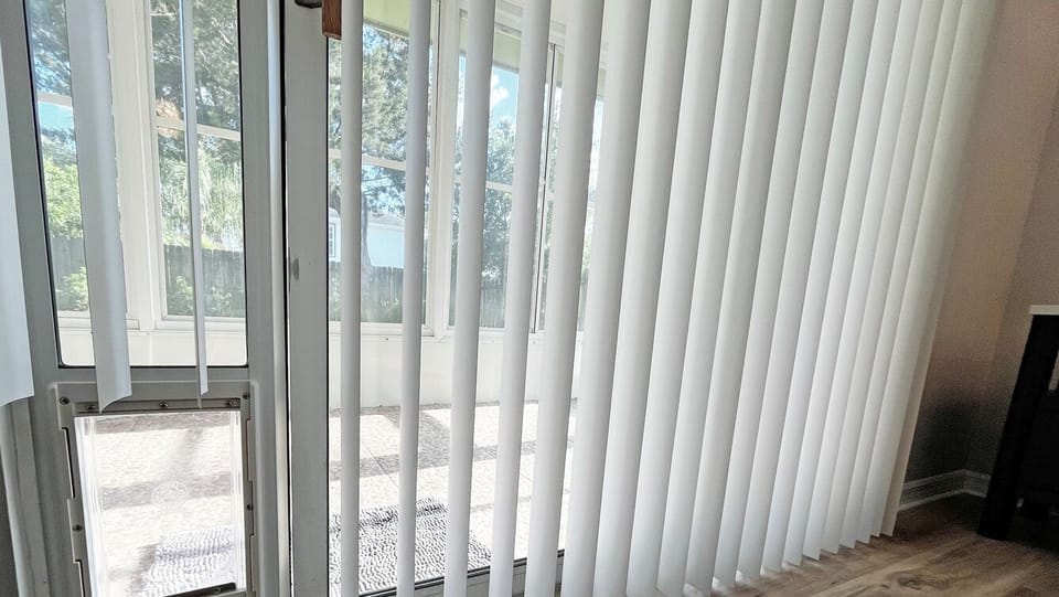 St. Augustine Beach Home Rental Dog Door