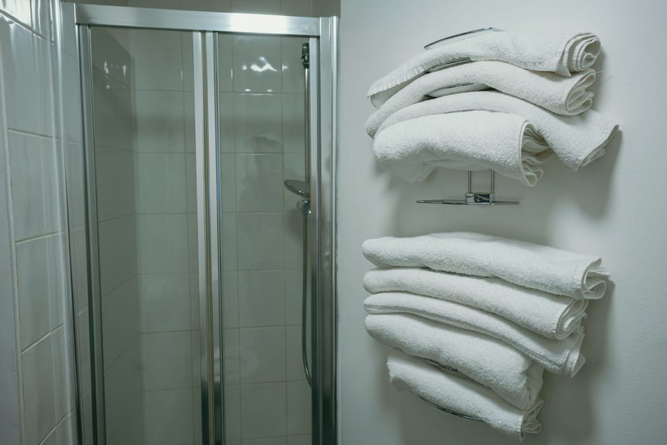Triple Room | Bathroom | Shower, hair dryer, towels, soap