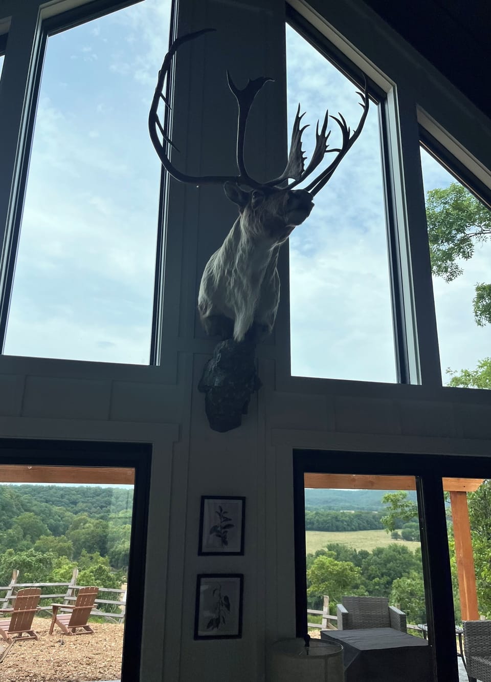 Welcome to Caribou Cabin