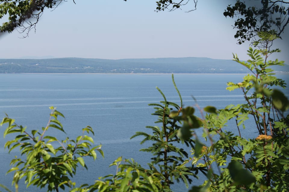 View from property