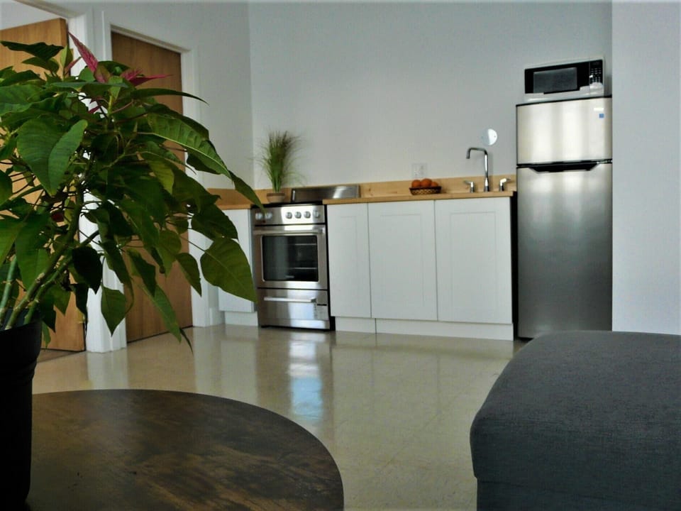 Double Room, Private Bathroom | Private kitchen | Shared fridge, shared microwave