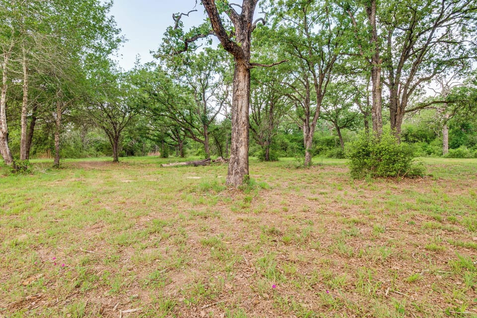Property Exterior | Driveway Parking (4 Vehicles) | Trailer Parking Allowed