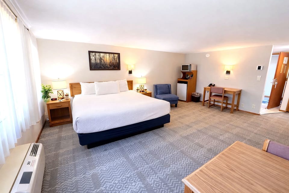 Standard Room, 1 King Bed | Desk, iron/ironing board, free WiFi, alarm clocks