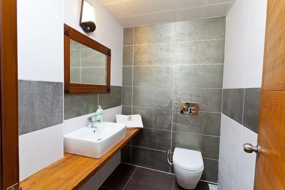 Shower, free toiletries, hair dryer, slippers