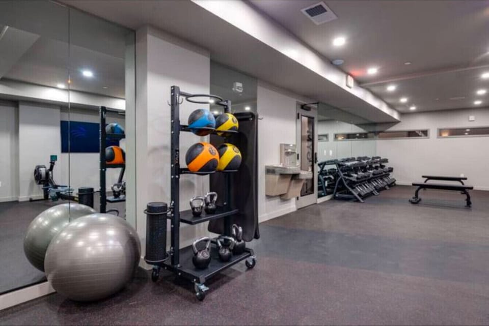 The Gym