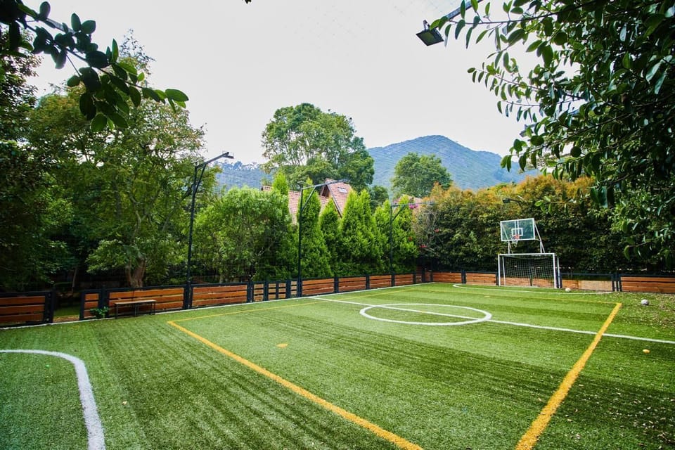 Sport court