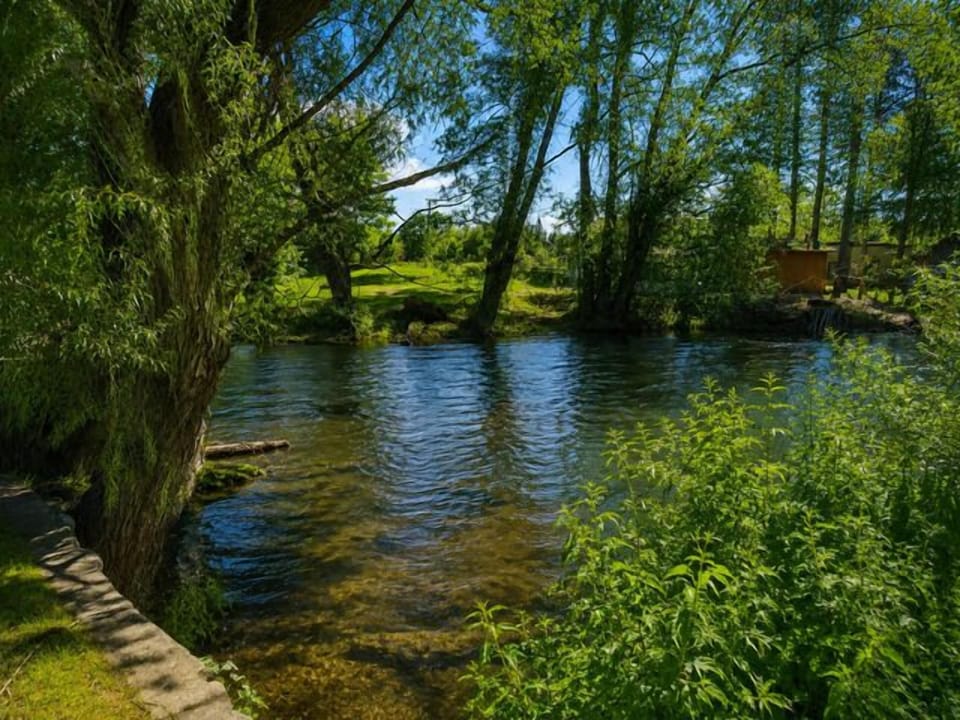 the North Branch of the AuSable River