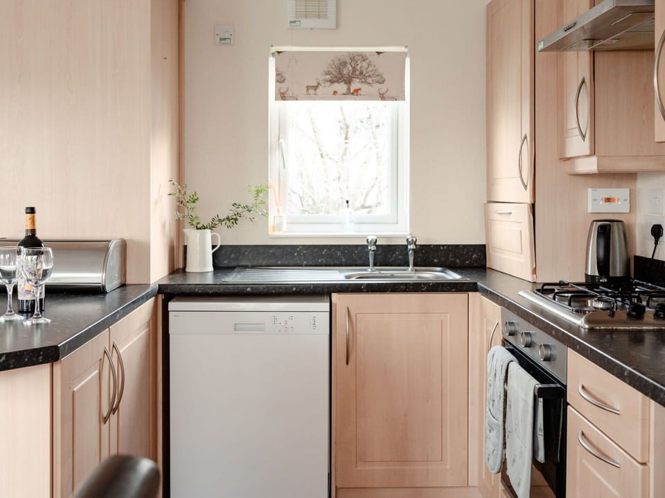 Kitchen Appliance, Kitchen, Countertop, Major Appliance, Furniture, Cabinetry, Home Appliance, Interior Design, Stove, Kitchen Stove