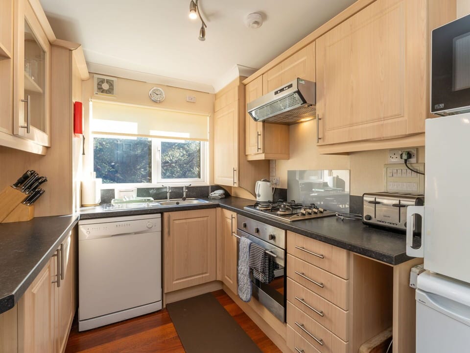 Kitchen, Kitchen Appliance, Countertop, Major Appliance, Cabinetry, Furniture, Kitchen Stove, Interior Design, Stove, Home Appliance