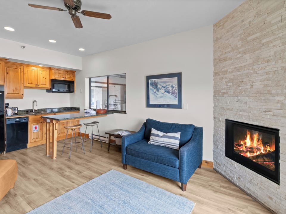 Living Area / Kitchenette