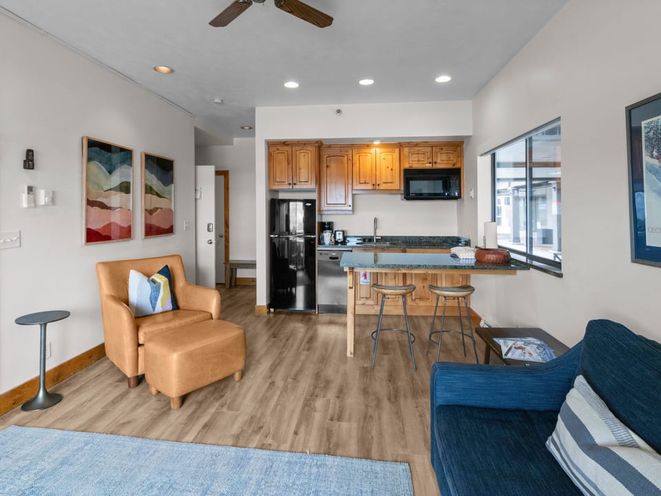 Living Area / Kitchenette