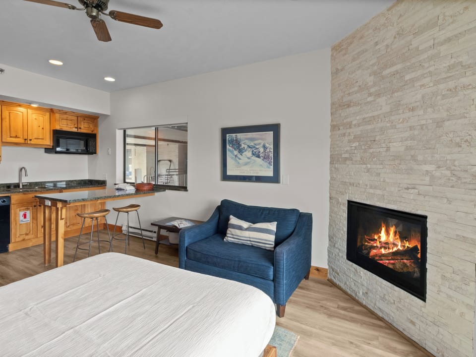 Living Area / Murphy Bed / Kitchenette