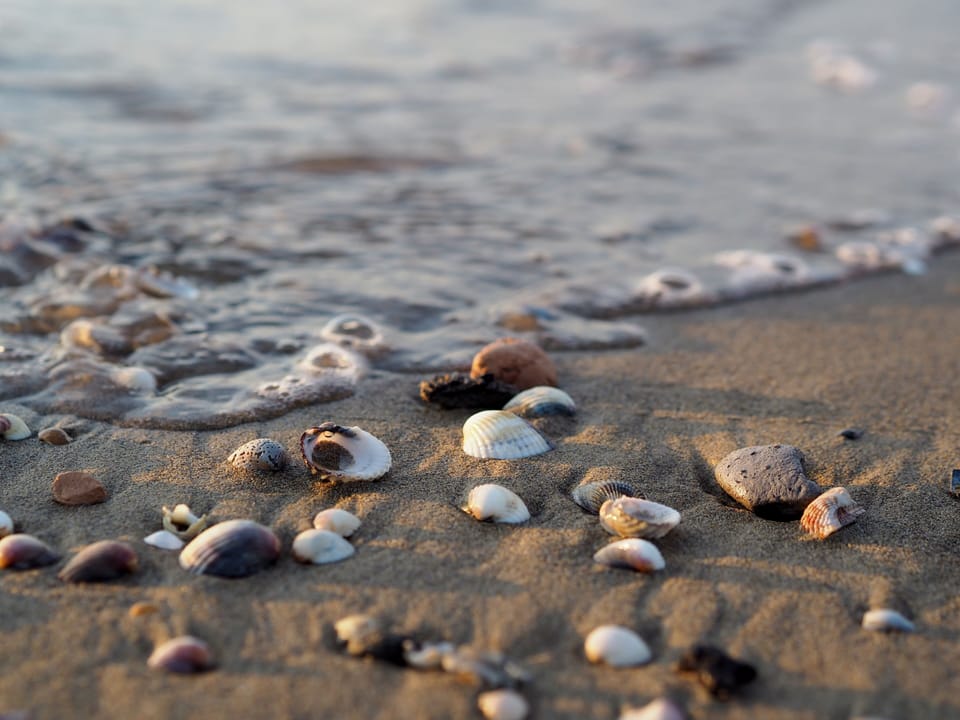 Miscellaneous