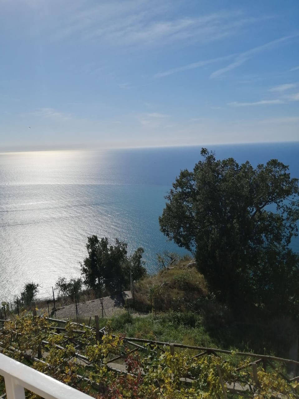 View from property