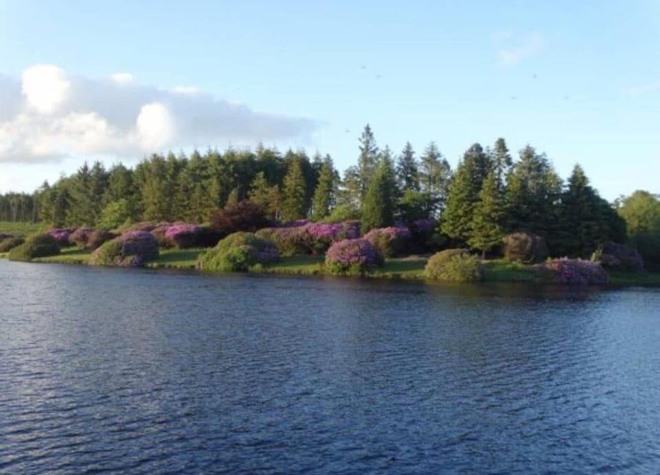 Cottage | View from property