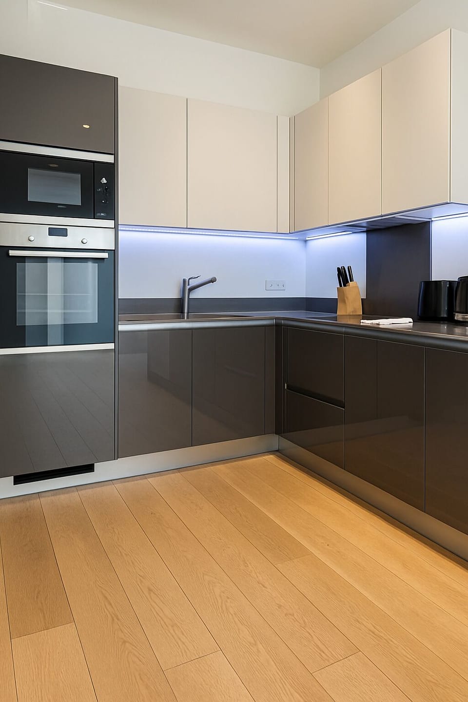 Deluxe Apartment | Private kitchen