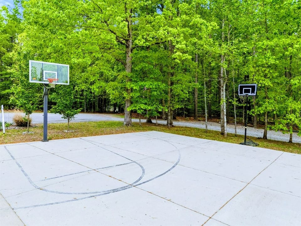 Play Among the Pines – Friendly competition meets forest calm on this hidden court.
