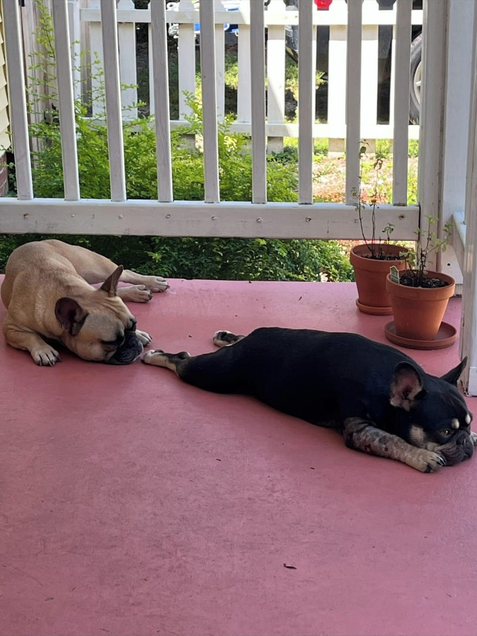 Adorable cuddle babies