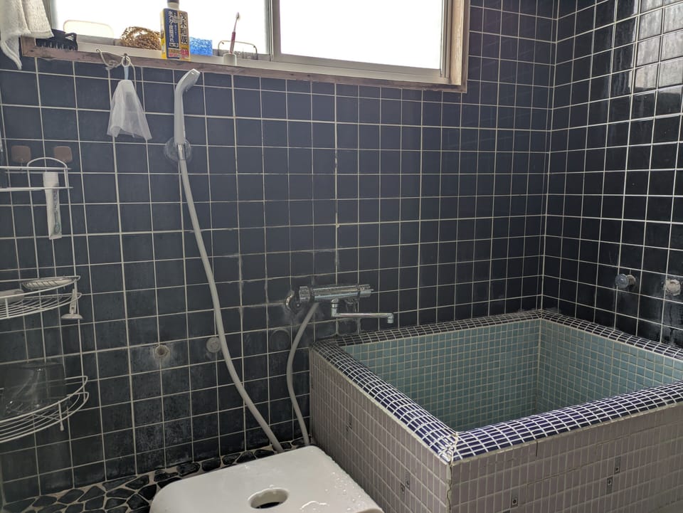 Separate tub and shower, hair dryer, towels, soap