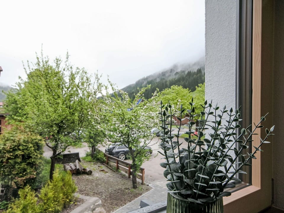 Mountain Range, Flowerpot, Balcony, Houseplant