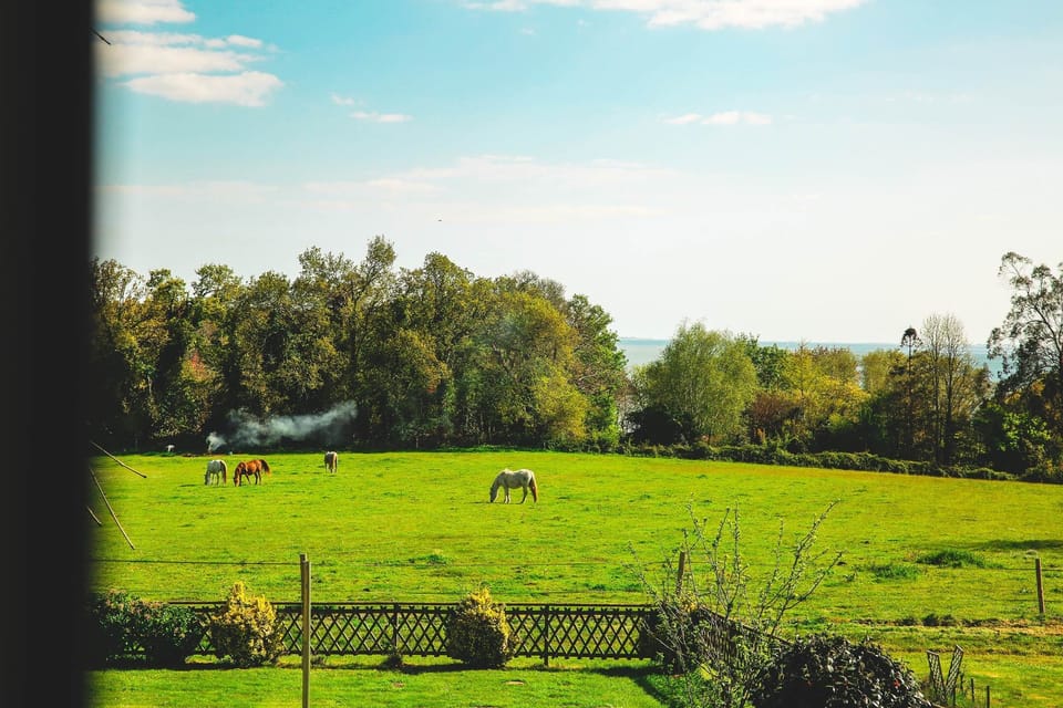 Côté Sud : Vue de la chambre sur la campagne, les chevaux et la baie de La Forêt-Fouesnant et au loin les îles Glénan selon météo