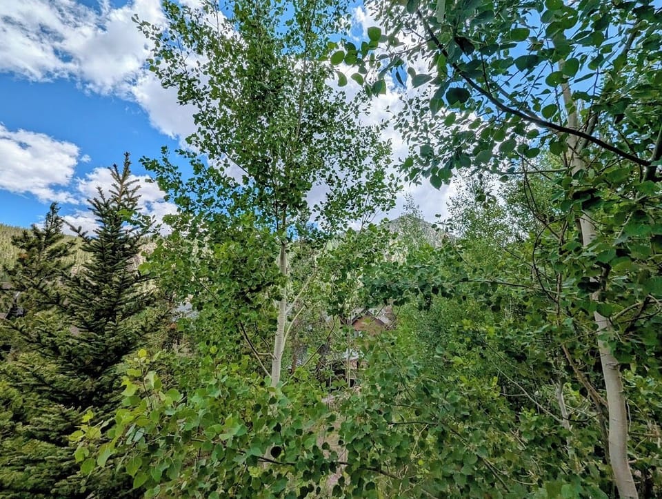 Balcony view - Tucked in the aspens #summer