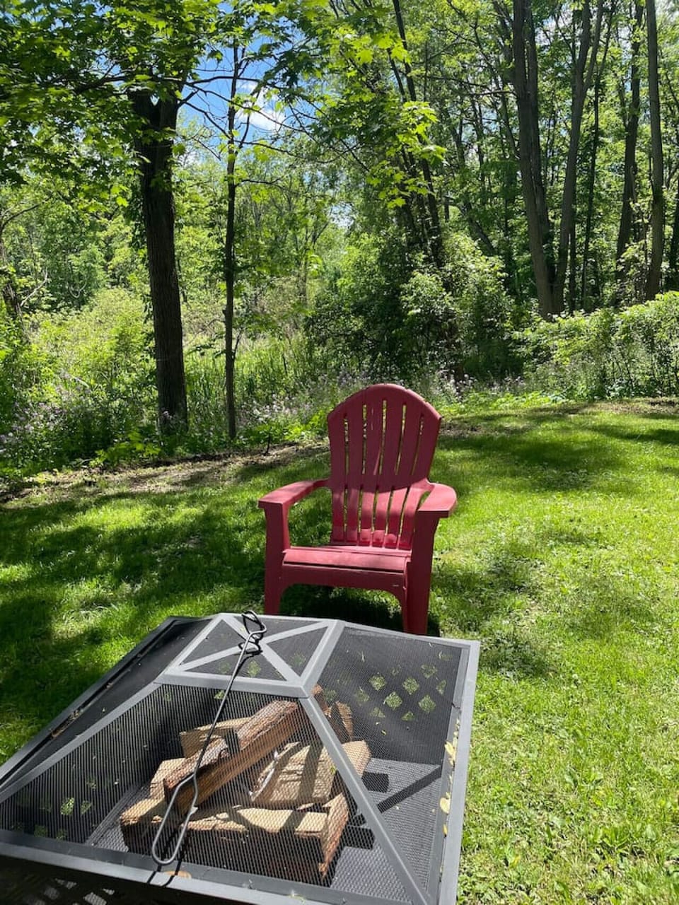 Back yard