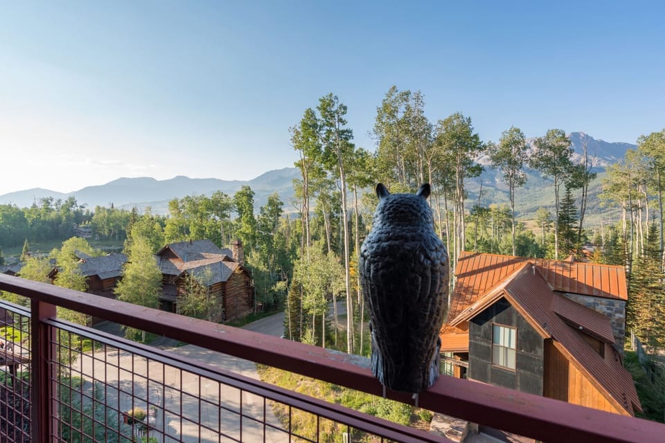 Deck - Beautiful mountain views