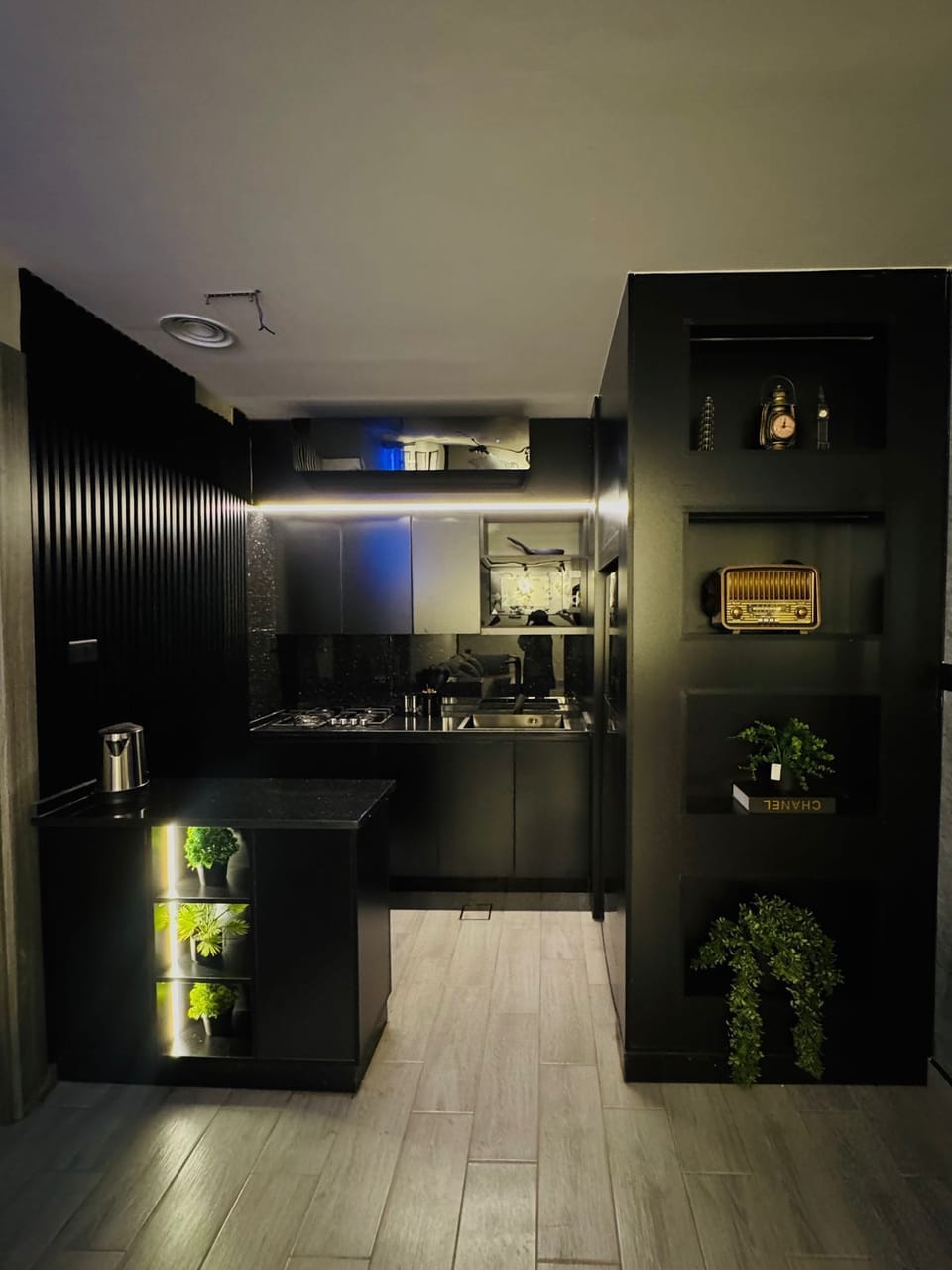 Full-size fridge, microwave, stovetop, electric kettle
