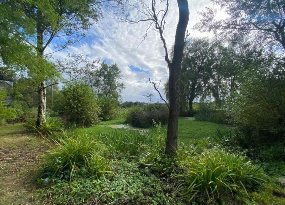 House | View from property