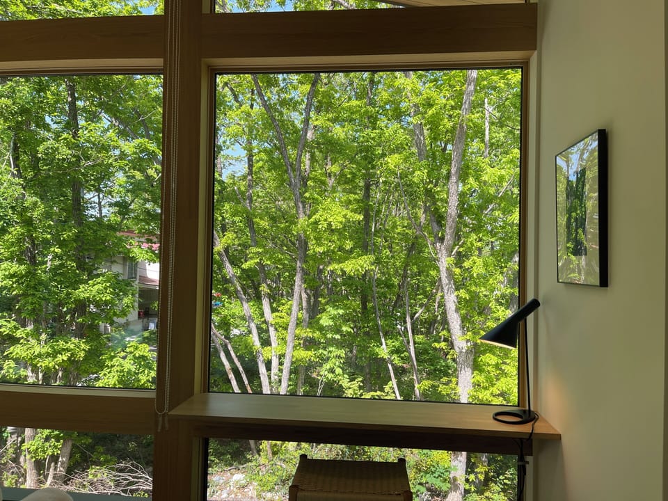 Desk, laptop workspace, blackout drapes, iron/ironing board