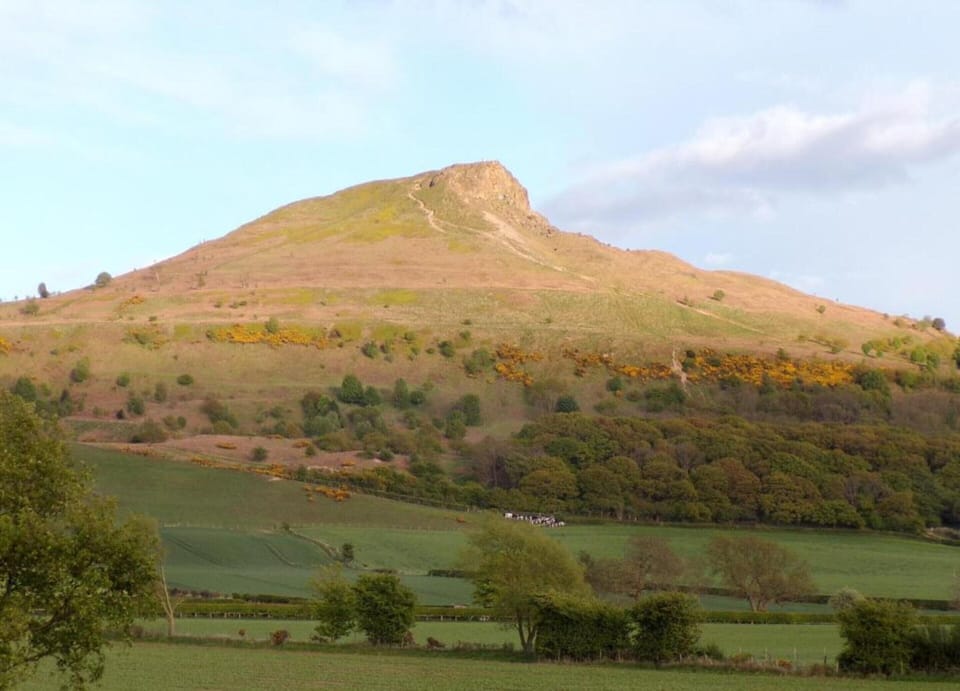 Apartment | View from property