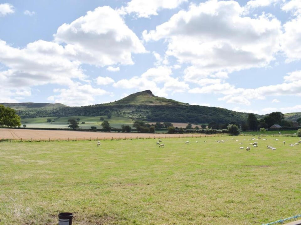 Cottage | View from property