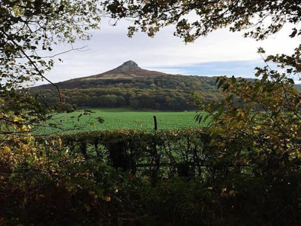Apartment | View from property