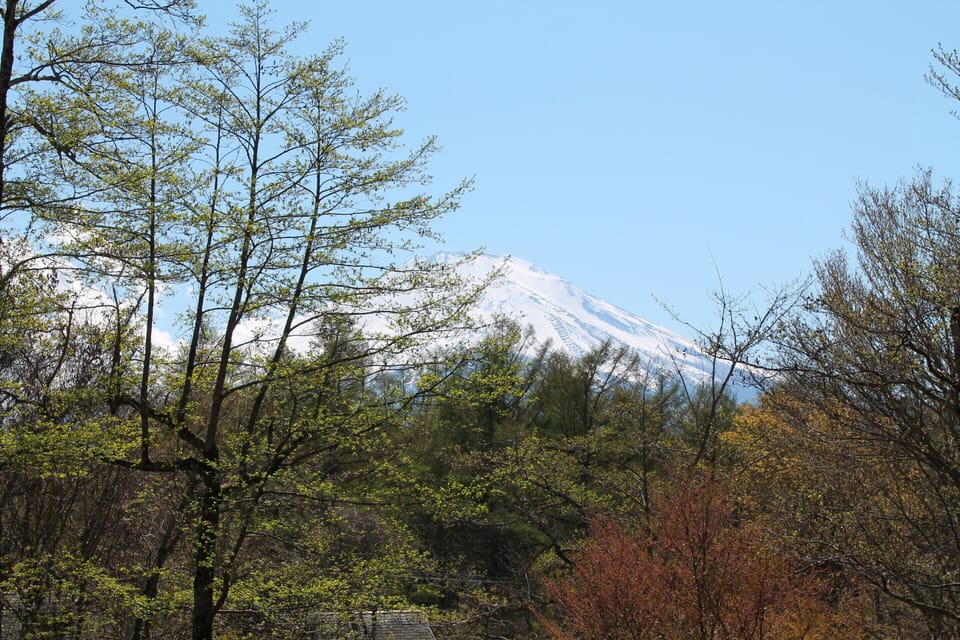 Panoramic Quadruple Room, 1 Bedroom, Non Smoking, Mountain View | Down comforters, WiFi (free)
