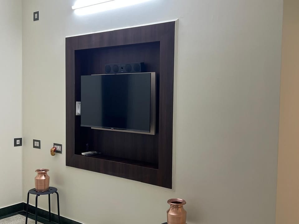 Television
