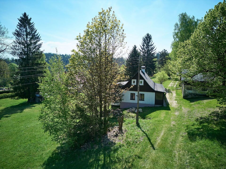 Tree, House, Shrub, Cottage, Home, Land Lot, Rural Area, Lawn, Spring, Garden