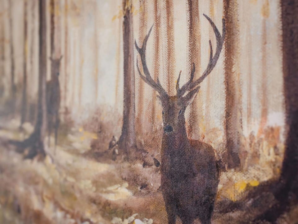 Deer, Brown, Winter, Forest, Antler, Reindeer, Twig, Wildlife, Elk, Woodland