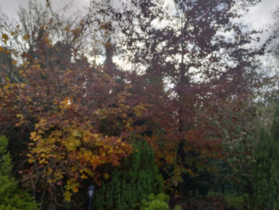 Classic Double Room, 1 Bedroom, Garden View (Rowan) | Blackout drapes, iron/ironing board, free WiFi