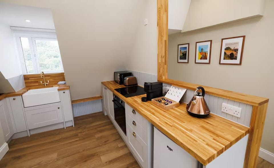 Apartment | Private kitchen | Fridge, microwave, oven, stovetop